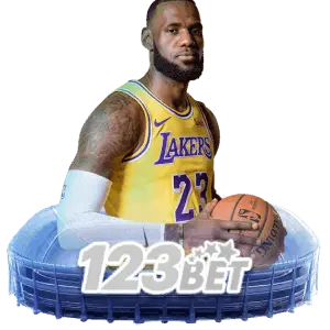KM88 Sports Basketball Zone